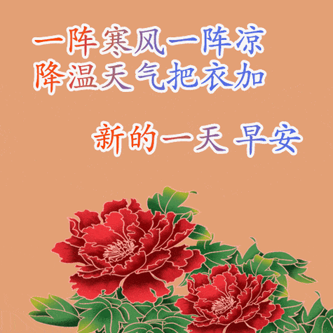 哈尔滨今日天气和问候语（哈尔滨今天天气预告）  第4张